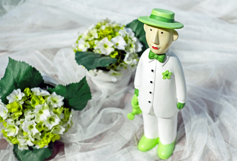 ecommerce-STE ANASTASIE SUR ISSOLE-min_man-person-flower-green-toy-fig-546529-pxhere.com